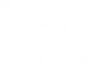 Logo Kopf & Gaumen