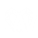 lav logo
